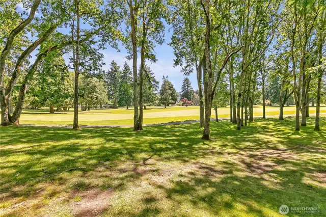 From the backyard onto the course.