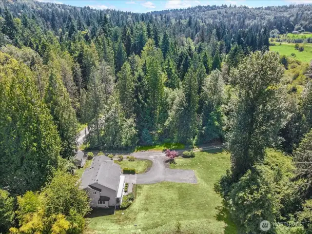 Ariel View of Home-site looking South. Private road leads to Ames Lake/Carnation Rd. NE - this road there leads over hill to Highway 202/Carnation Fall City Rd - which then goes West to downtown Redmond.