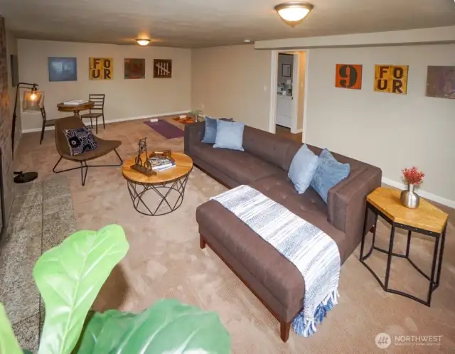 Lower Level Rec Room