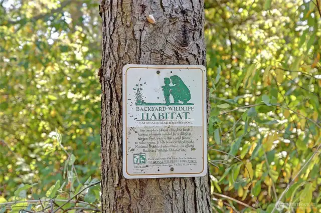 The National Wildlife Federation (NWF) Backyard Wildlife Habitat program doesn't have strict regulations, but it does encourage specific practices to create a healthy habitat for wildlife. The program focuses on providing food, water, cover, and places to raise young, along with sustainable gardening practices. This home focuses on over 70% native plants in a pesticide free habitat and carries this distinct honor.