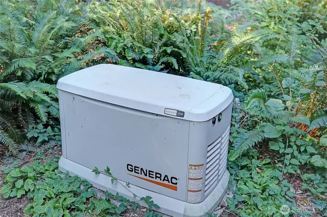 Your automatic Guardian if there is a power outage.