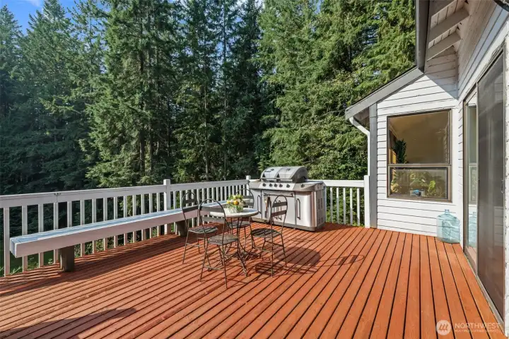 Great entertainment sized deck!