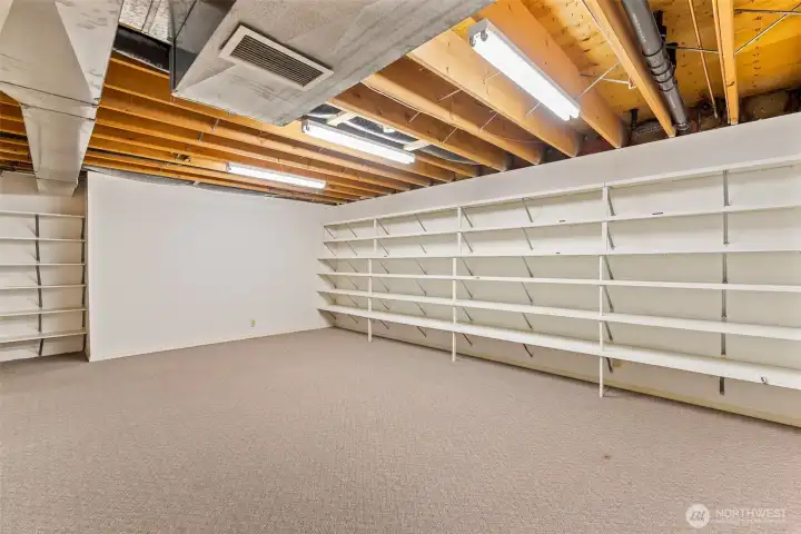 Storage Shelves workout room