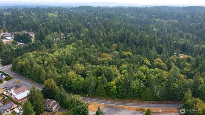 Untouched  wooded level property