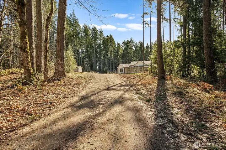 Beginning of driveway to home which is off of a shared driveway from Hawks Prairie Road.