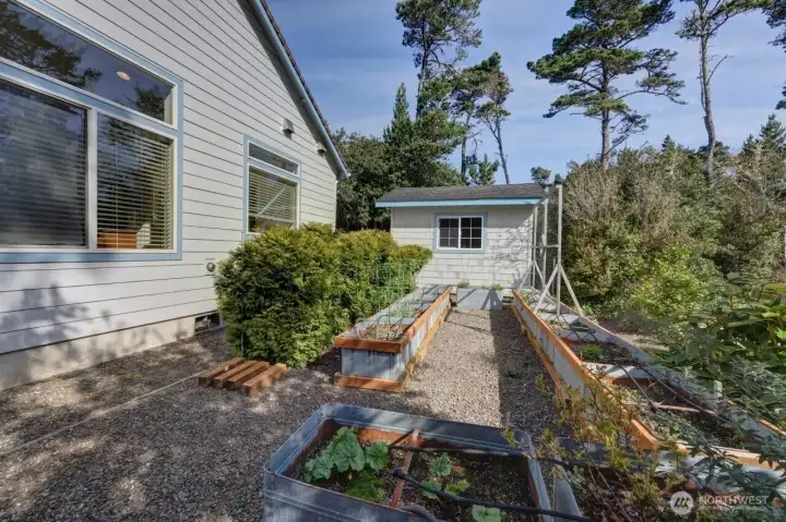 Another view of the raised garden.