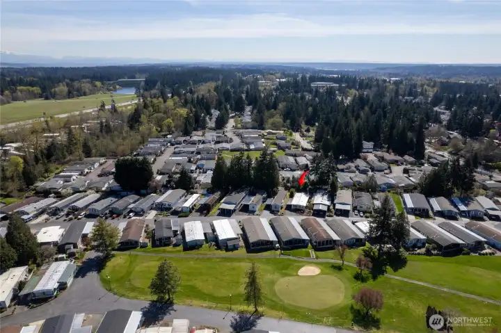 Belmor offers a clubhouse, pool, golf course and dog run!