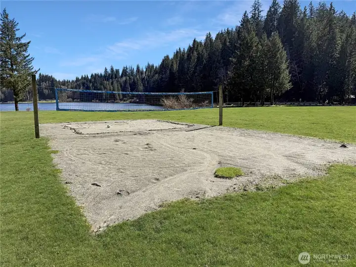 volleyball
