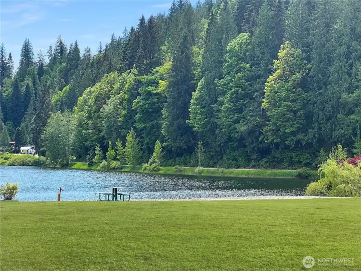 beautiful lake