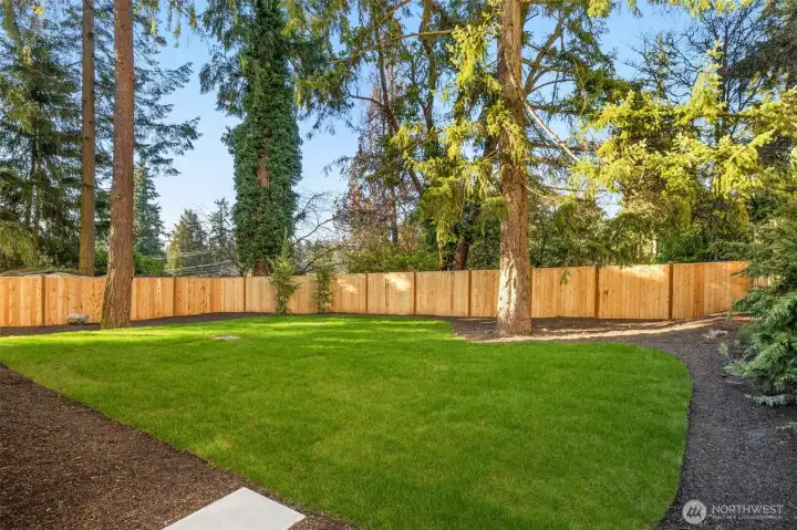 Large, flat back yard.