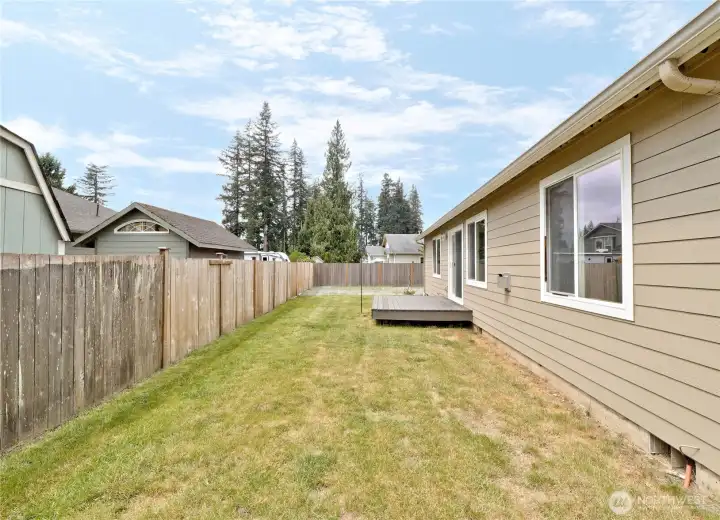 Backyard