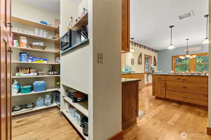 Huge pantry for storing food and appliances.
