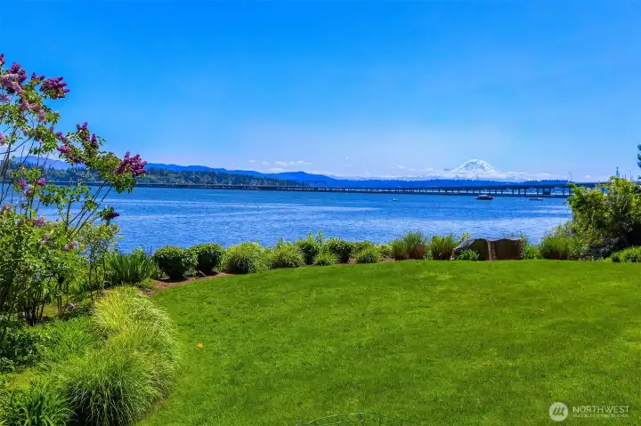 Private Mount Rainier view. Private Mount Rainier view.