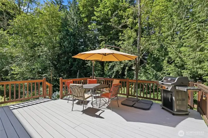 Large maintenance free deck