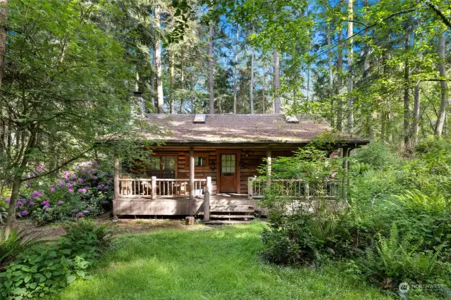 Kentucky Cabin