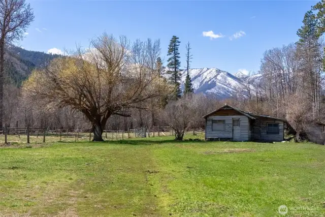 Old growth trees and perennials decorate the property
