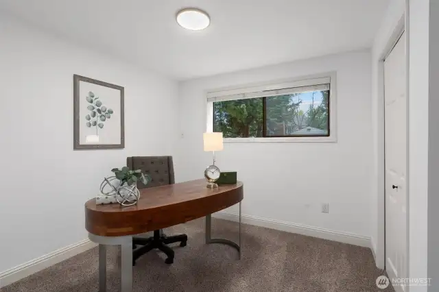 Bedroom #4 on lower level. Use as bedroom or office space.