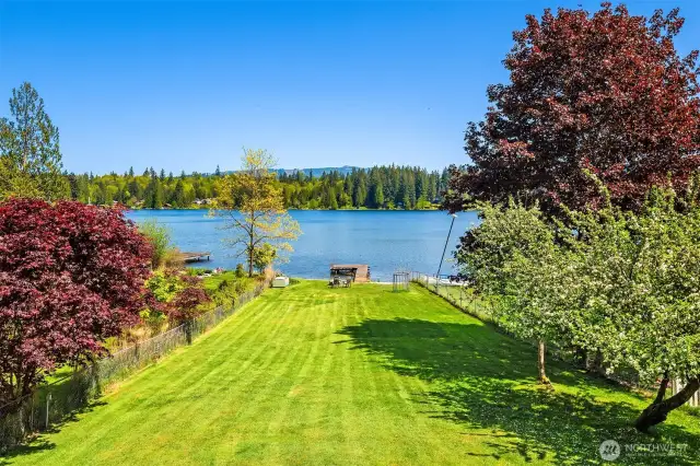 Gently sloped and level yard with fruit-bearing apple trees!