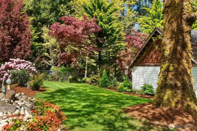 Front yard landscaping