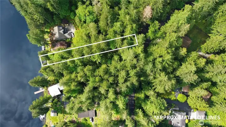 Just shy of 1/2 ac lot.