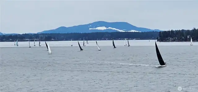 up close for the Toliva Shoal race