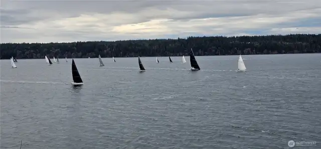 up close for the Toliva Shoal race