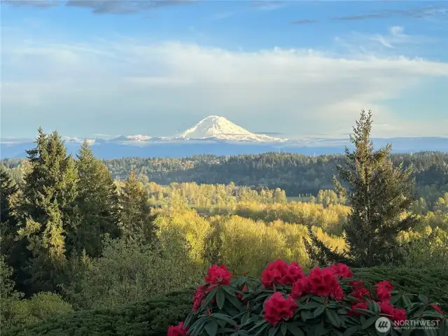 Snowy Mt. Rainier and gorgeous blooming flowers. Wait until spring and you will see all the color of this gorgeous yard.
