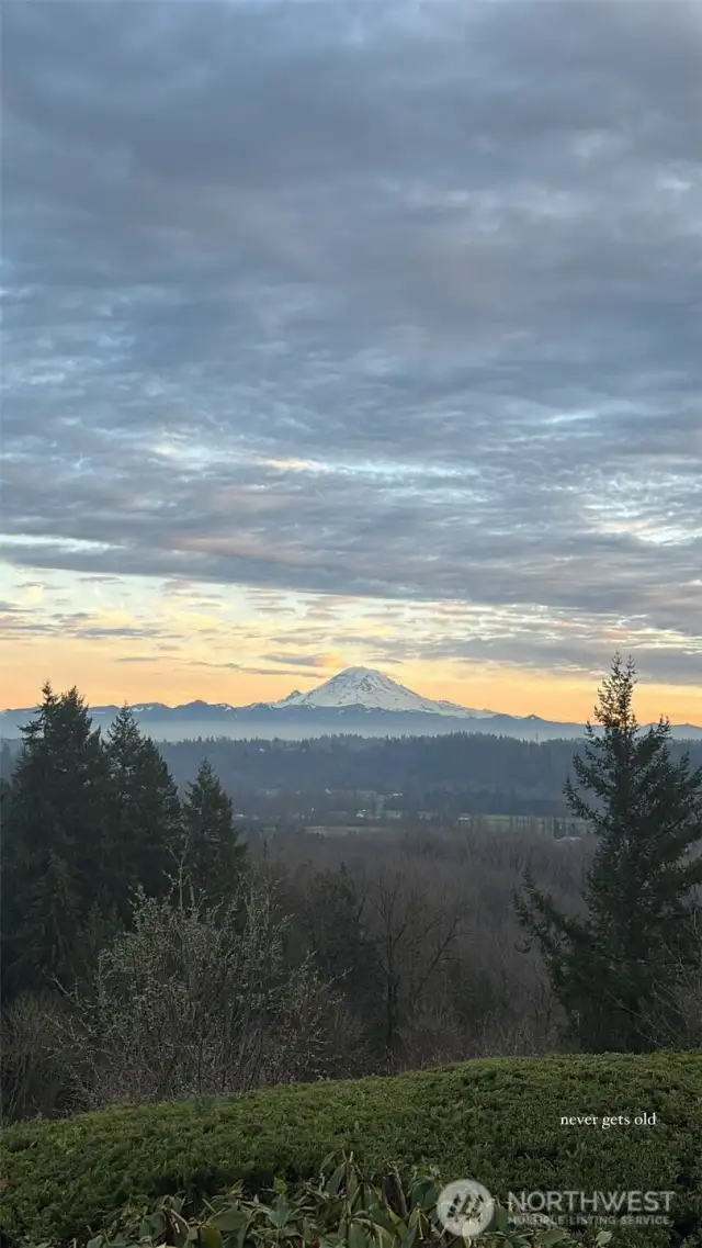 Never Gets Old  - Your guests will love to post your view on their Instagram!