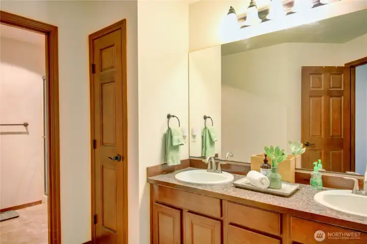 Main bathroom with double vanity, beautiful cabinets and solid doors throughout.