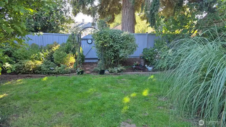 Fully fenced backyard