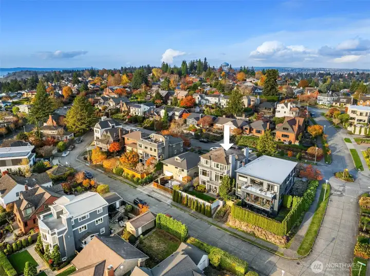 Situated on Westmont on Magnolia's coveted Carlton Park just blocks above Magnolia Boulevard.