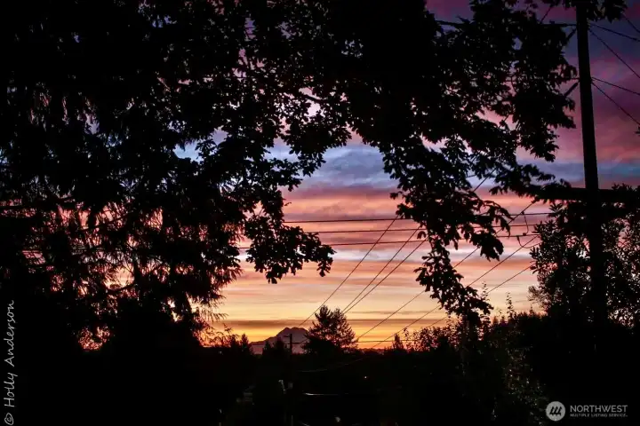 Mount Rainier from back yard!