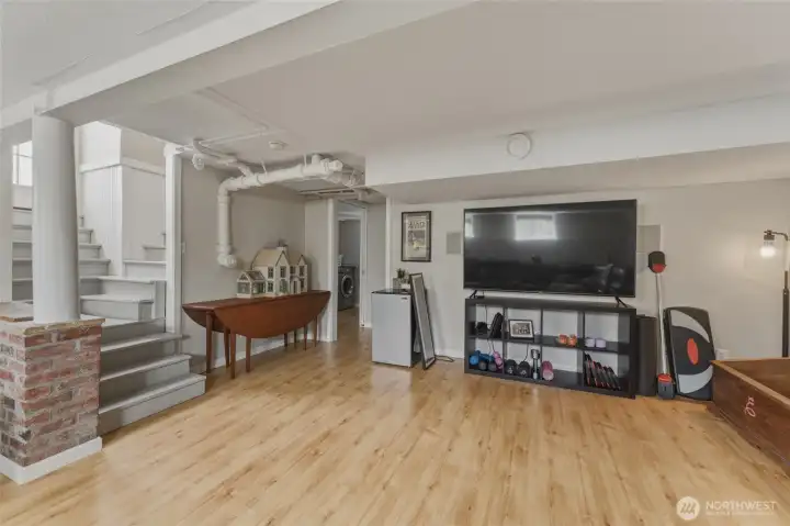 Basement Living Room