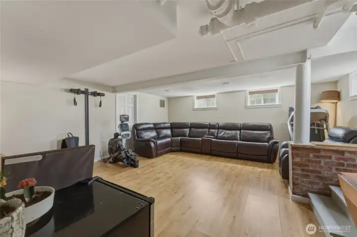Basement Living Room