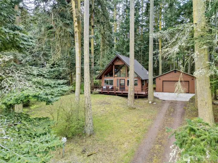 A-frame cabin in the woods
