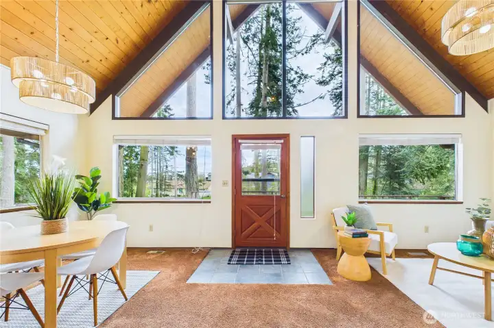 Forest bathing from the living room