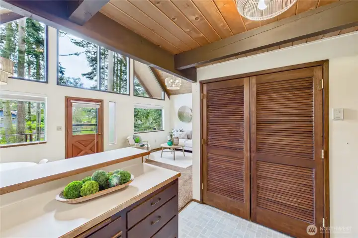 Pantry and old furnace in this closet