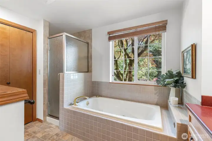 Great sized closet, shower & tub. Imagine hours in tub, taking in all the beauty out the window. There's even a ledge for your candles, book, plants & a beverage! Great sized closet, shower & tub. Imagine hours in tub, taking in all the beauty out the window. There's even a ledge for your candles, book, plants & a beverage!