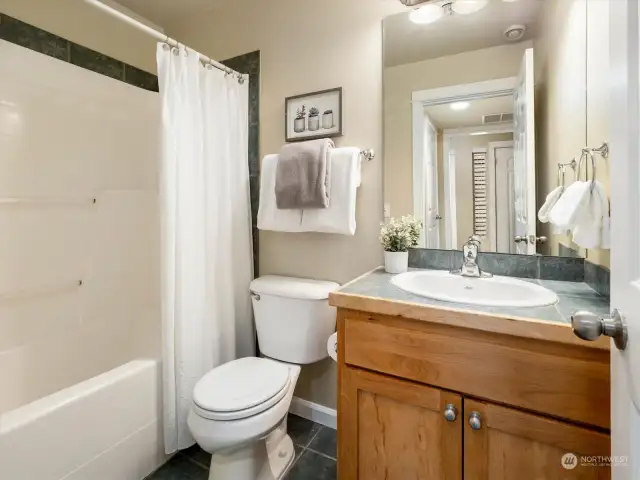 The bath on the lower entry level has a bath/shower combination
