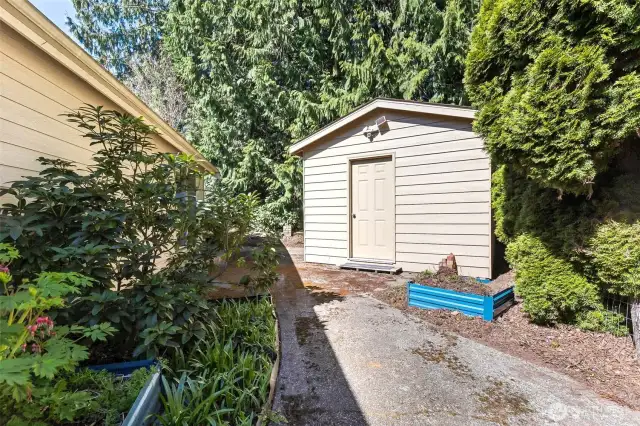 Storage Shed