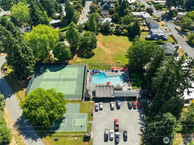 Norwood pool 2 min walk from home, summer food tricks and freshly painted sports courts