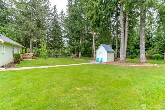 Back yard