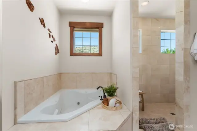 Primary bathroom tub