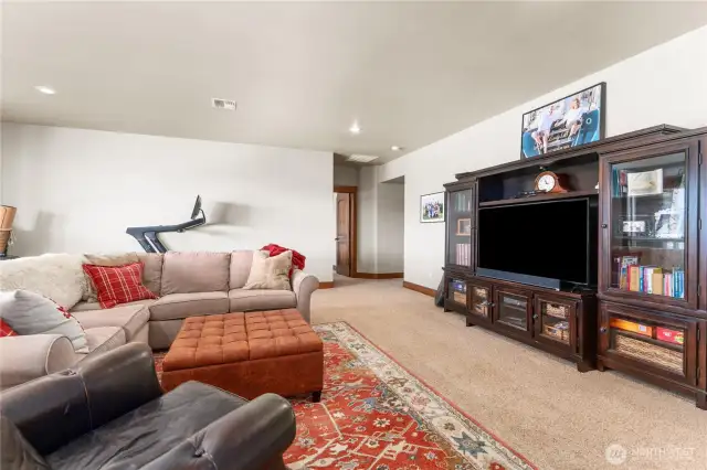 Downstairs family room with doors leading out to the lower patio