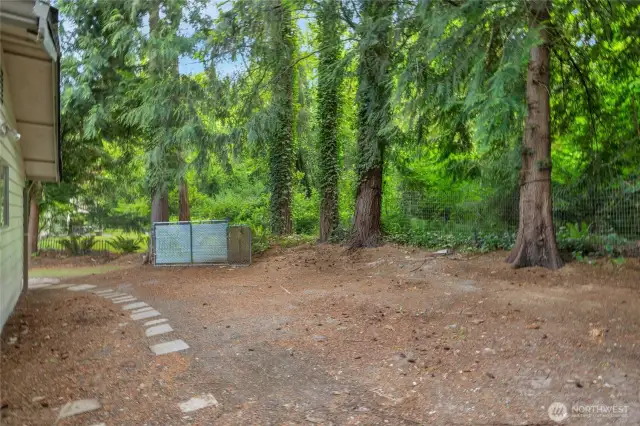 Side yard