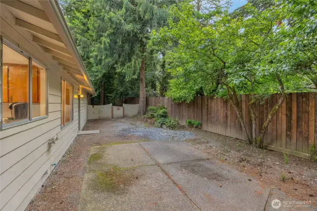 Back yard