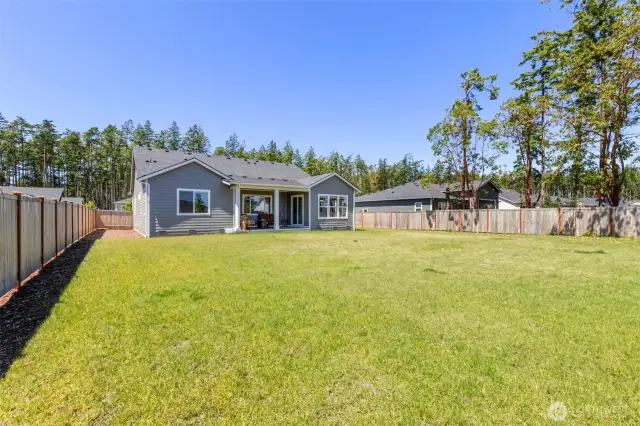 Huge fenced in backyard