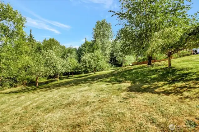 Orchard