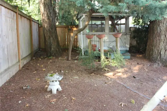 Back yard