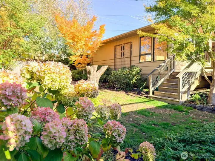 Fully Fenced - the Back Yard is level with wonderful flowering areas.  Room for that garden and secure for the pet.